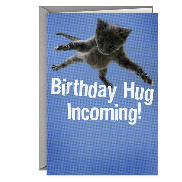 Greeting Cards & Invitations Funny It's YOUR Birthday Cat Hallmark Greeting Card Details about HAPPY BIRTHDAY CARD Home & Garden Greeting Cards & Invitations Funny It's YOUR Birthday Cat Hallmark Greeting Card Details about HAPPY BIRTHDAY CARD Home & Garden